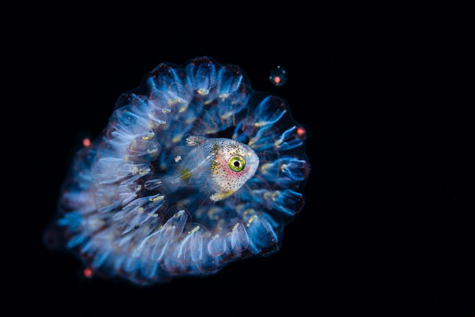 Seabed.