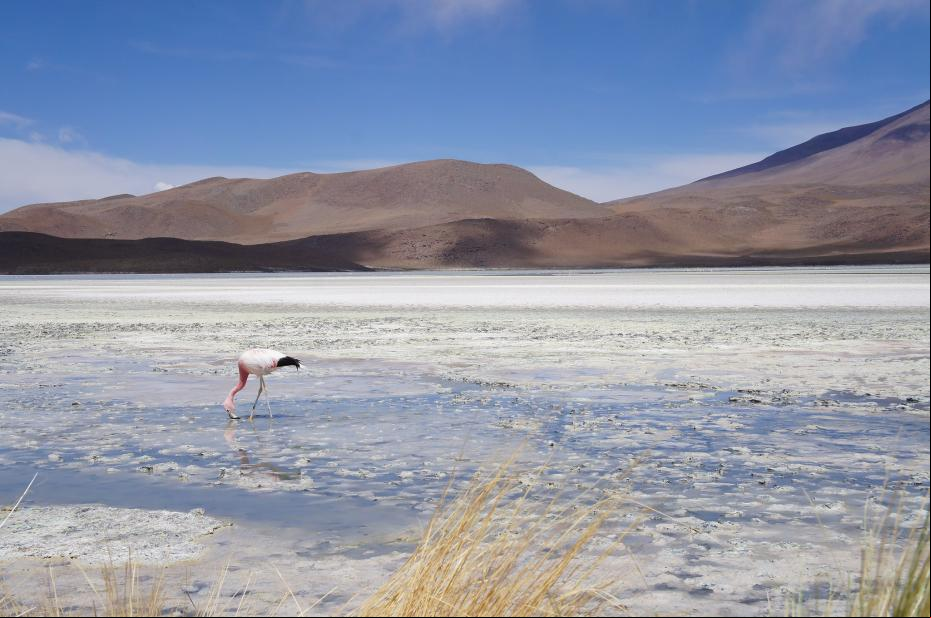 Uyuni Salt Flat in Bolivia