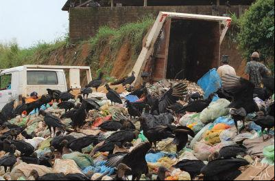 Foto: Según el Ayuntamiento, al día se vierten 155 toneladas de basura y los equipos de la empresa a cargo de construir la represa sólo pueden comprimir el 25%. Crédito: Letícia Leite/ISA