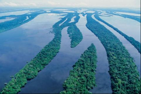 Foto: Cuenca del Amazonas, Brasil, aquella que se pretende llenar de represas. Crédito: Peter Gebhard. Fuente: www.mundo-geo.es