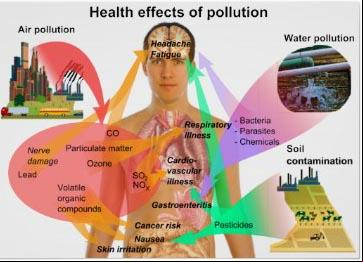 Infographic: The effects of pollution, including air pollution, on human health. Source: missioninvisible.blogspot.mx 