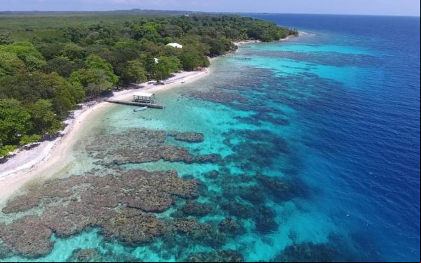 Tropical coastline with reef