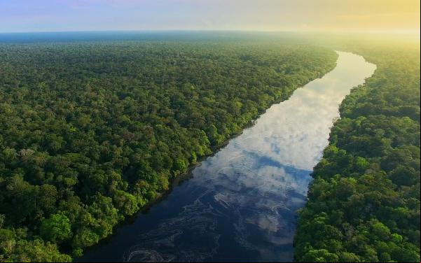 river running through wetland, sunrise on horizon