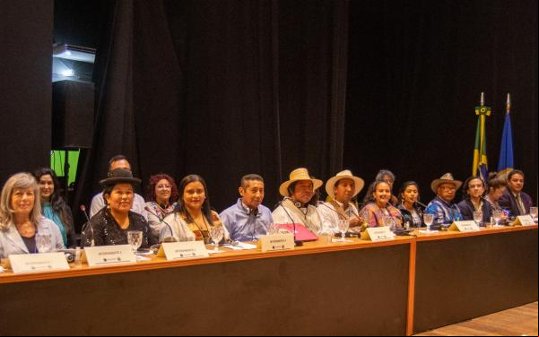 Comunidades de América Latina en audiencia sobre emergencia climática ante la Corte IDH