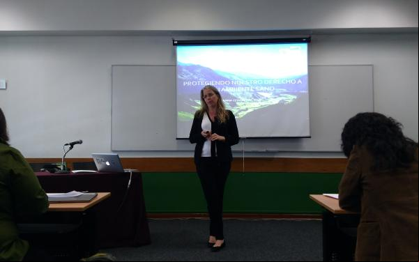 Anna Cederstav, codirectora de AIDA, expone en el taller.