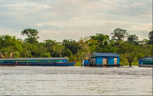 Paisaje de la Amazonía