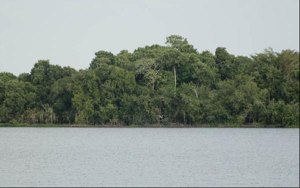 Ciénaga de Paredes, Magdalena Medio, Colmbia