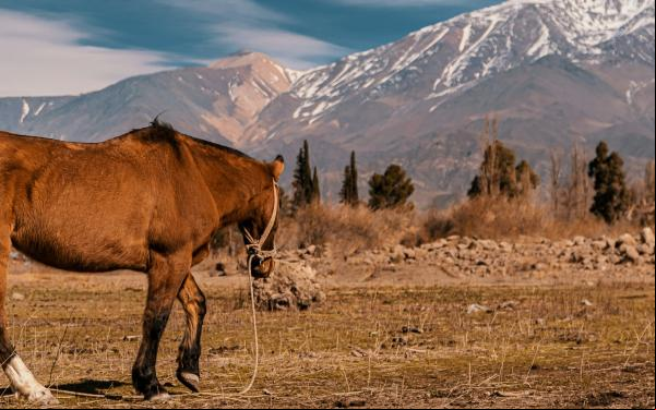 Mendoza, Argentina