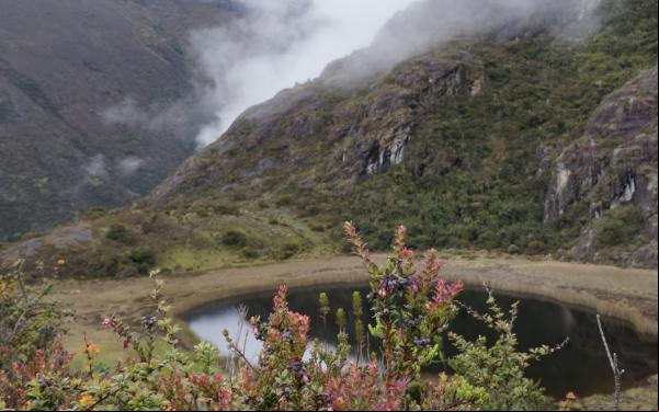 Páramo de Santurbán, Colombia