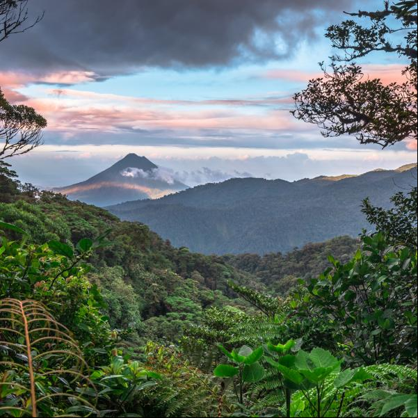 tropical mountainside with volcano in distance