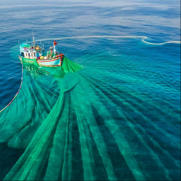 fishing boat with a green fishing net extended in the sea
